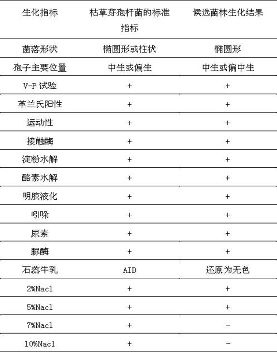 一種枯草芽孢桿菌及其在魚蝦養殖疾病防治中的應用